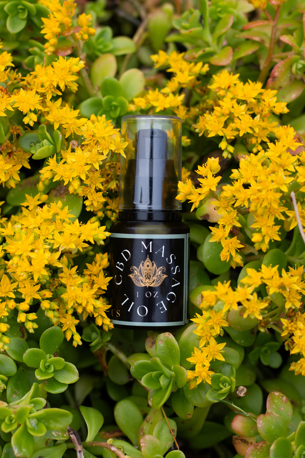 CBD Massage Oil