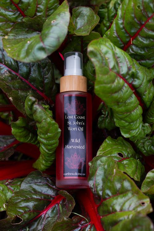 Coastal St. John's Wort Oil