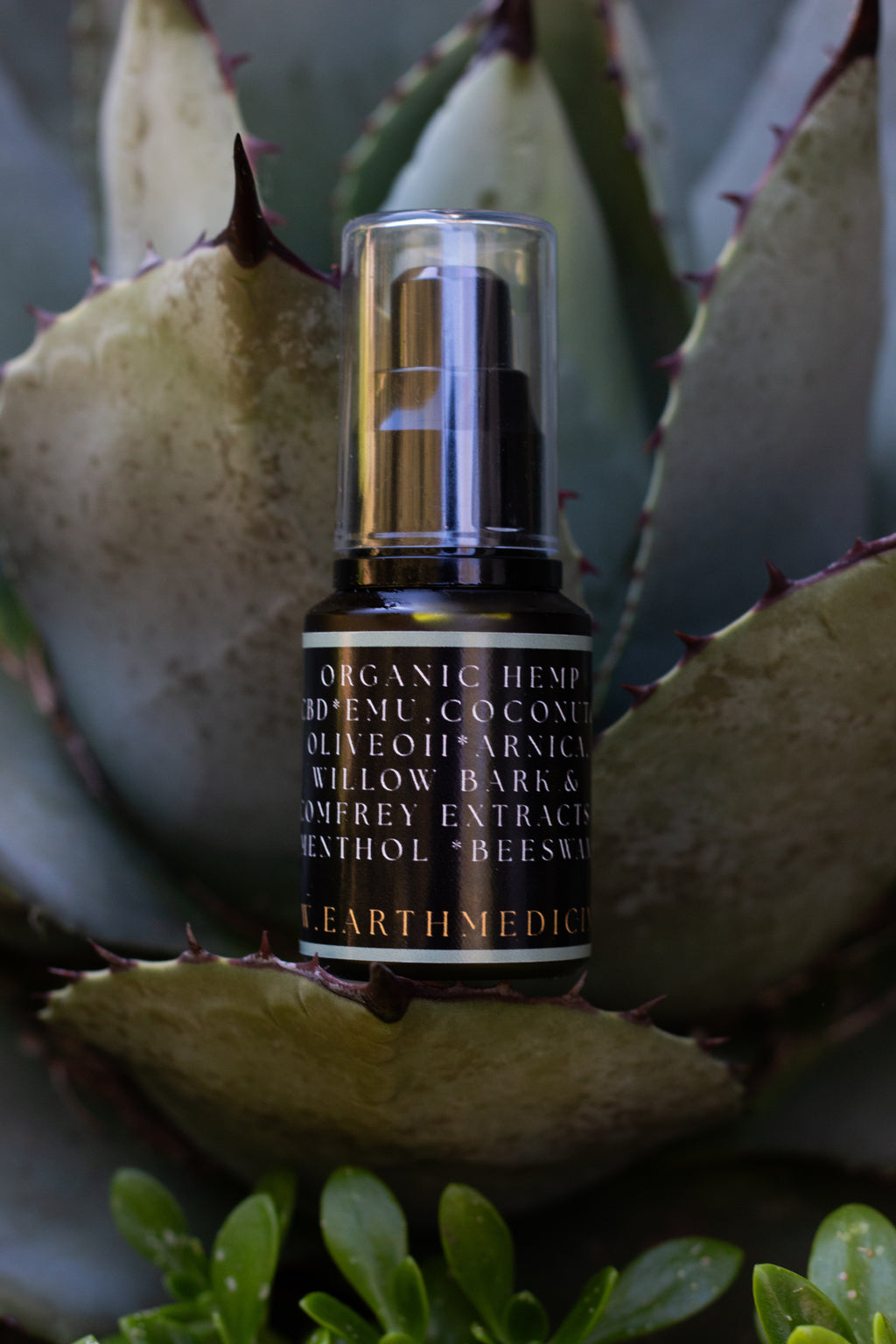 CBD Massage Oil