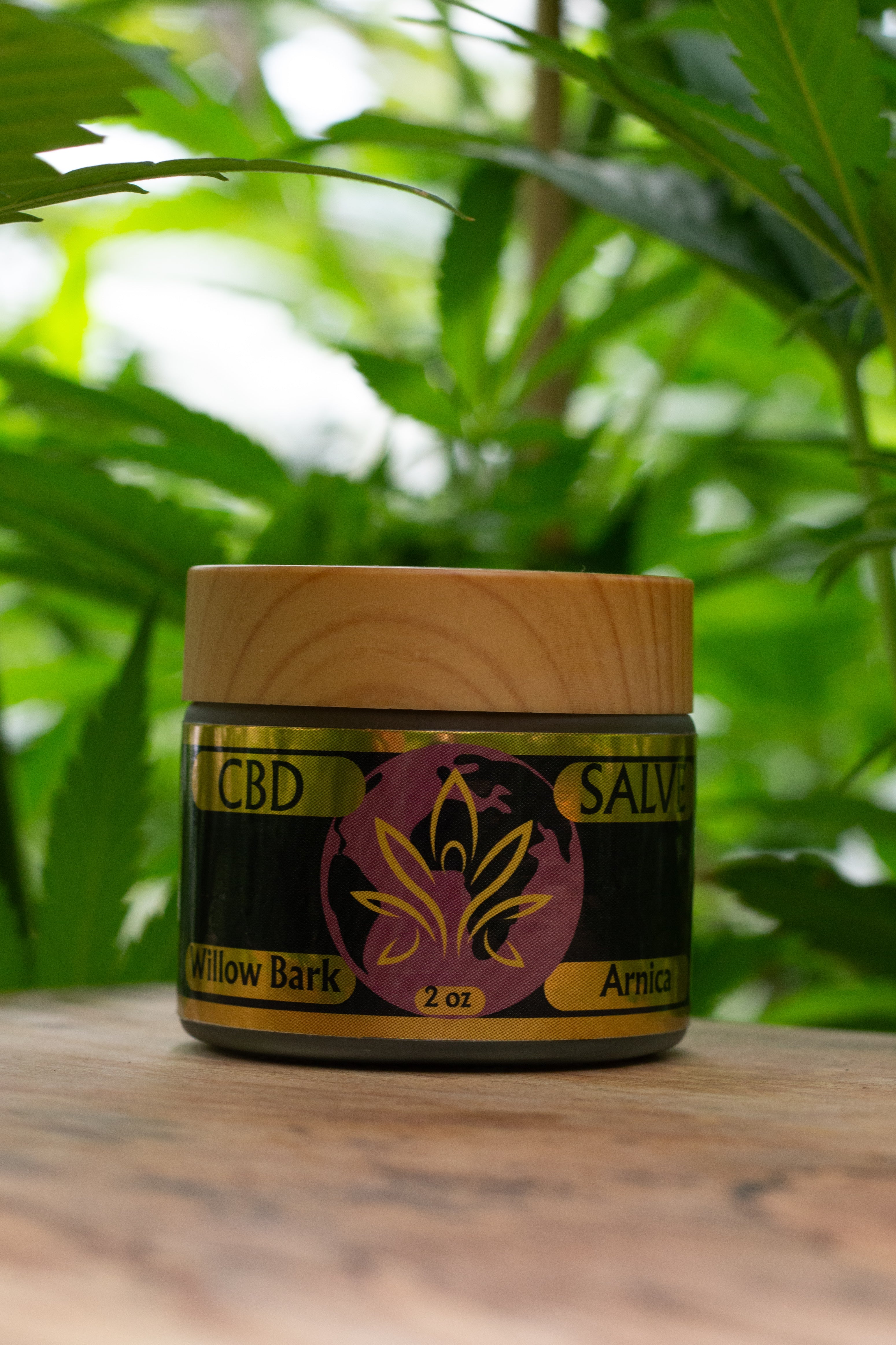 CBD Salve