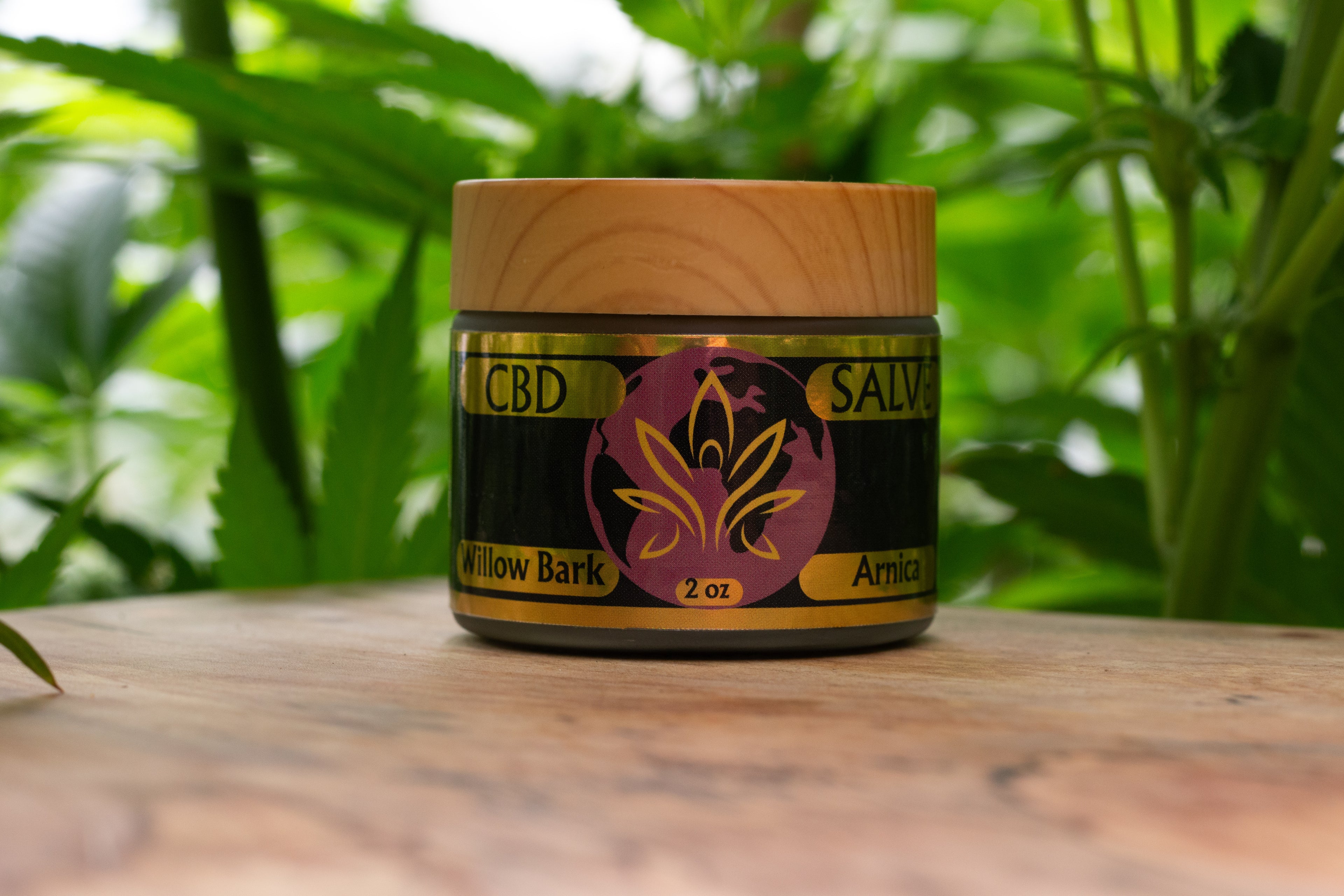 CBD Salve