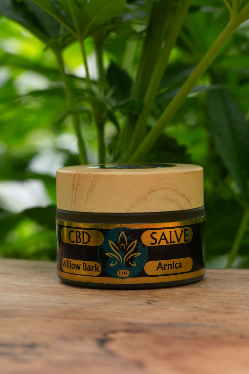 CBD Salve