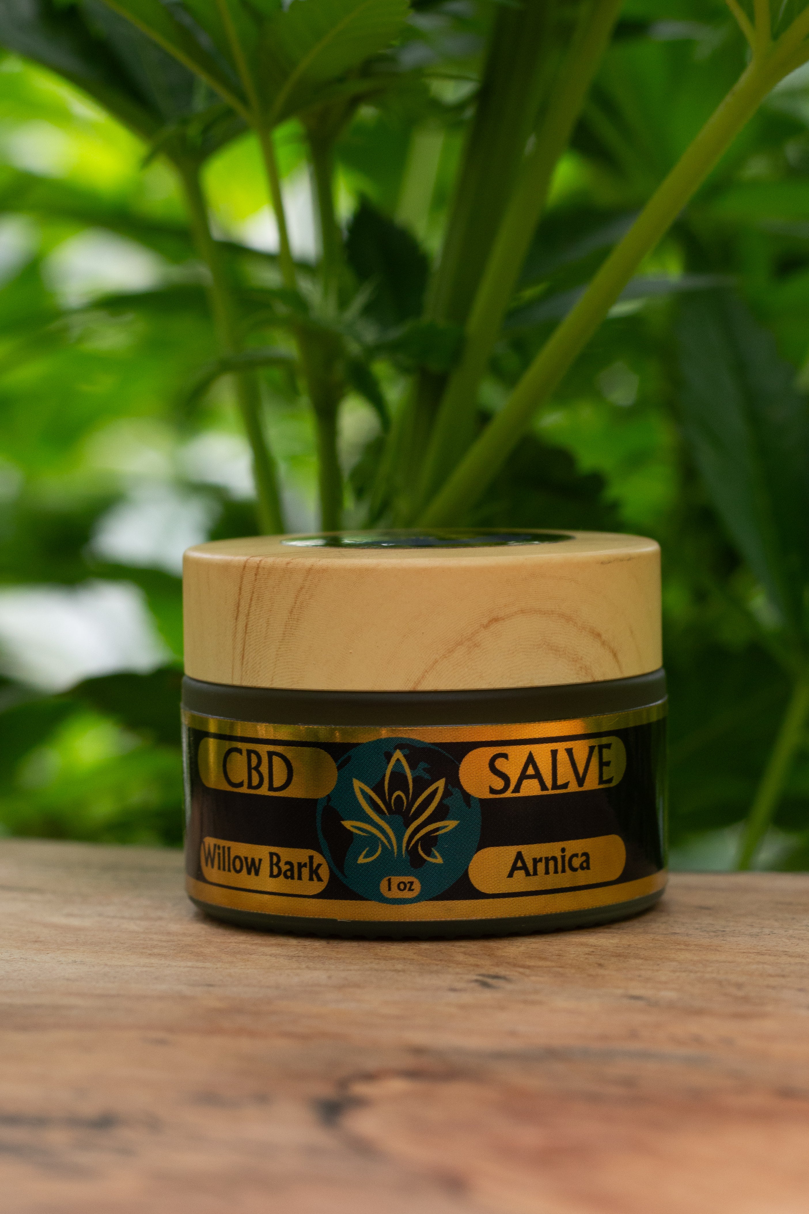 CBD Salve