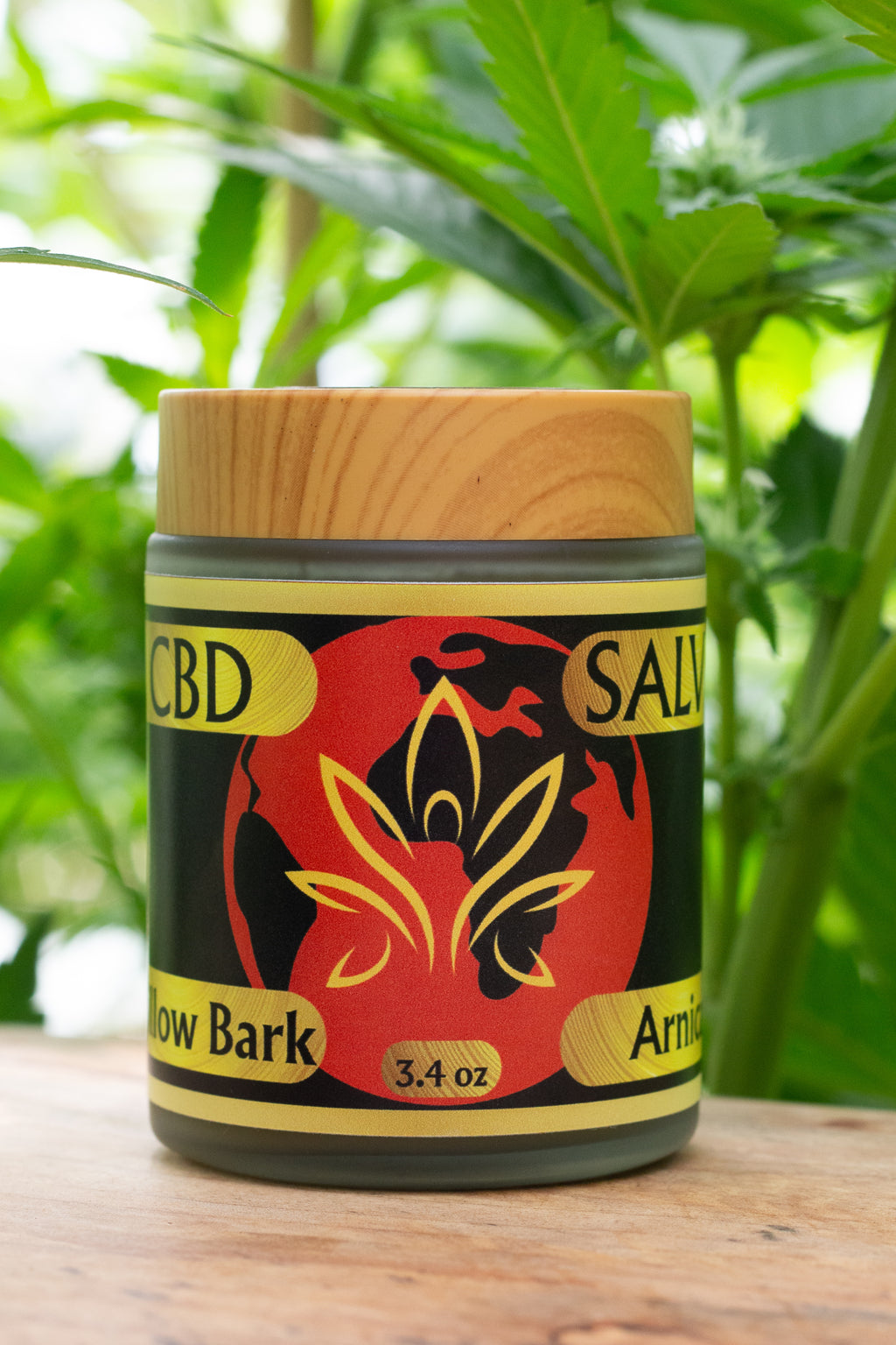 CBD Salve