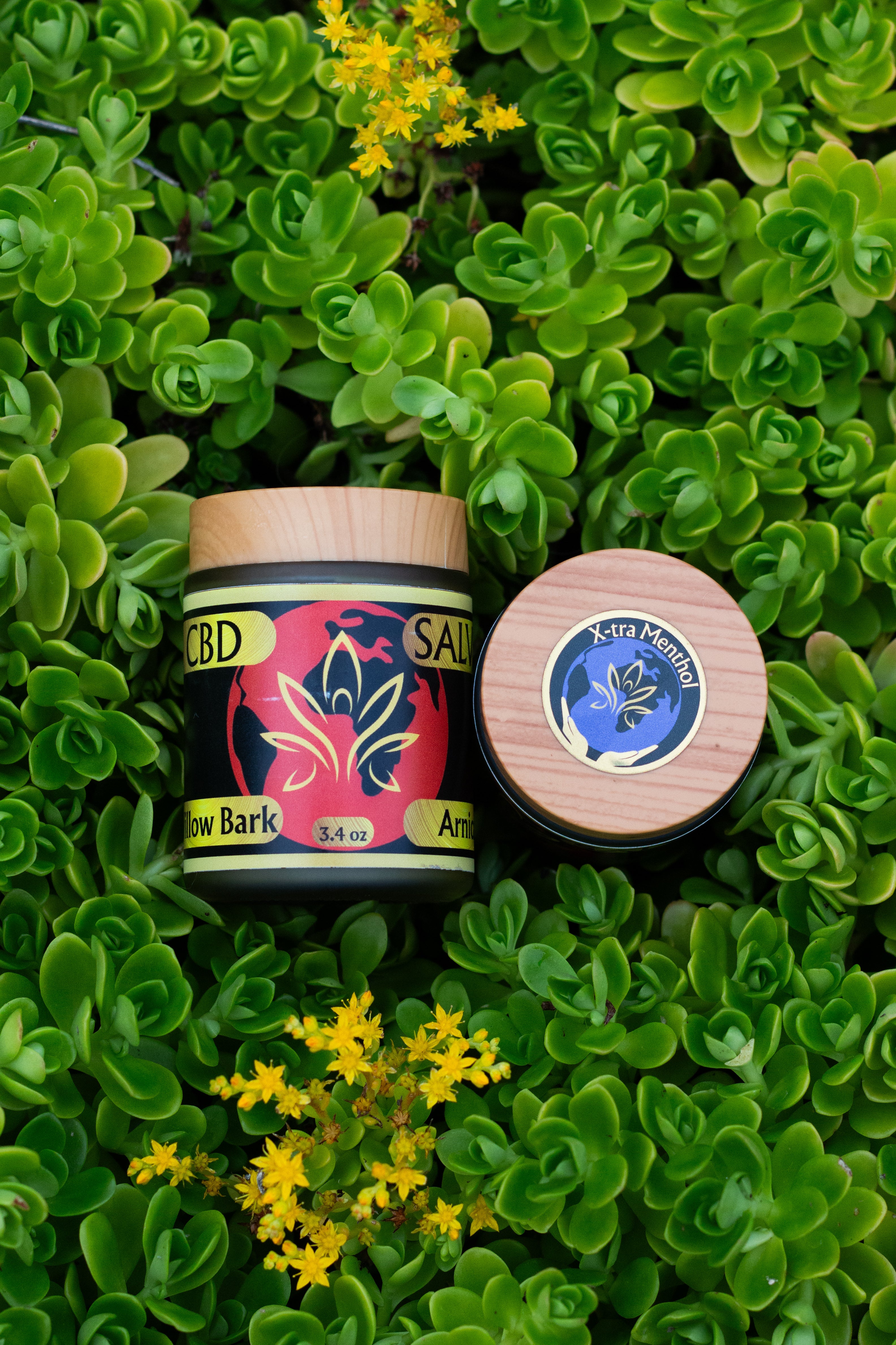 CBD Salve