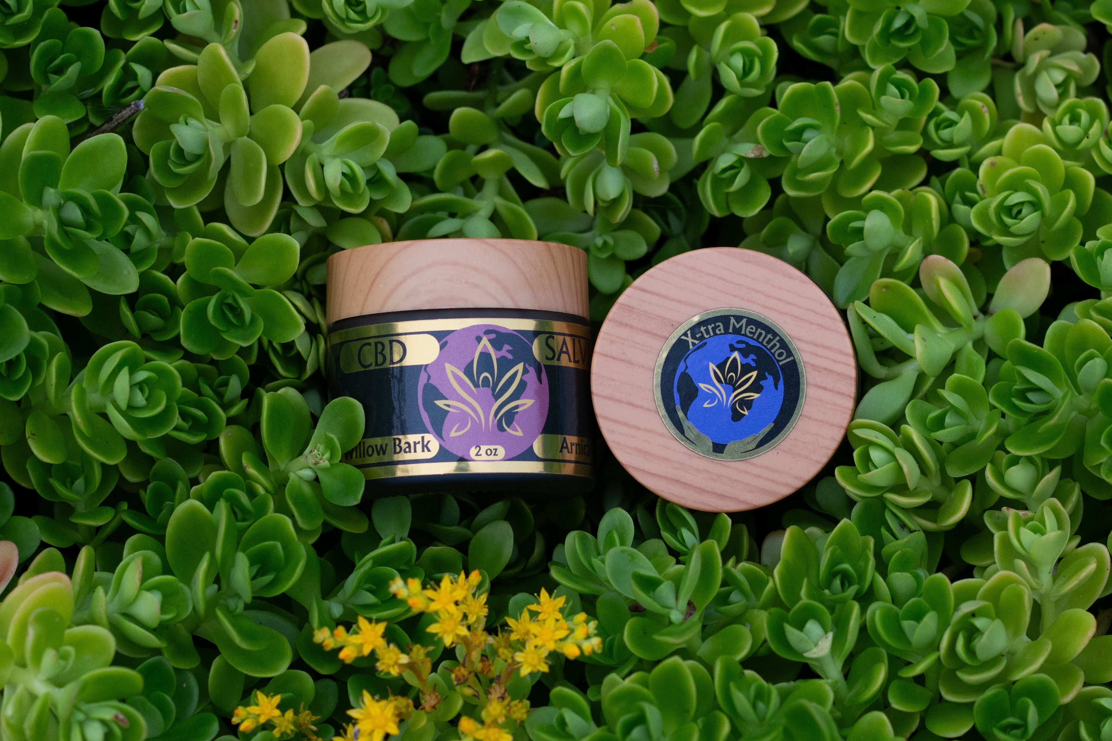 CBD Salve