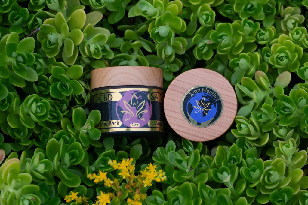 CBD Salve