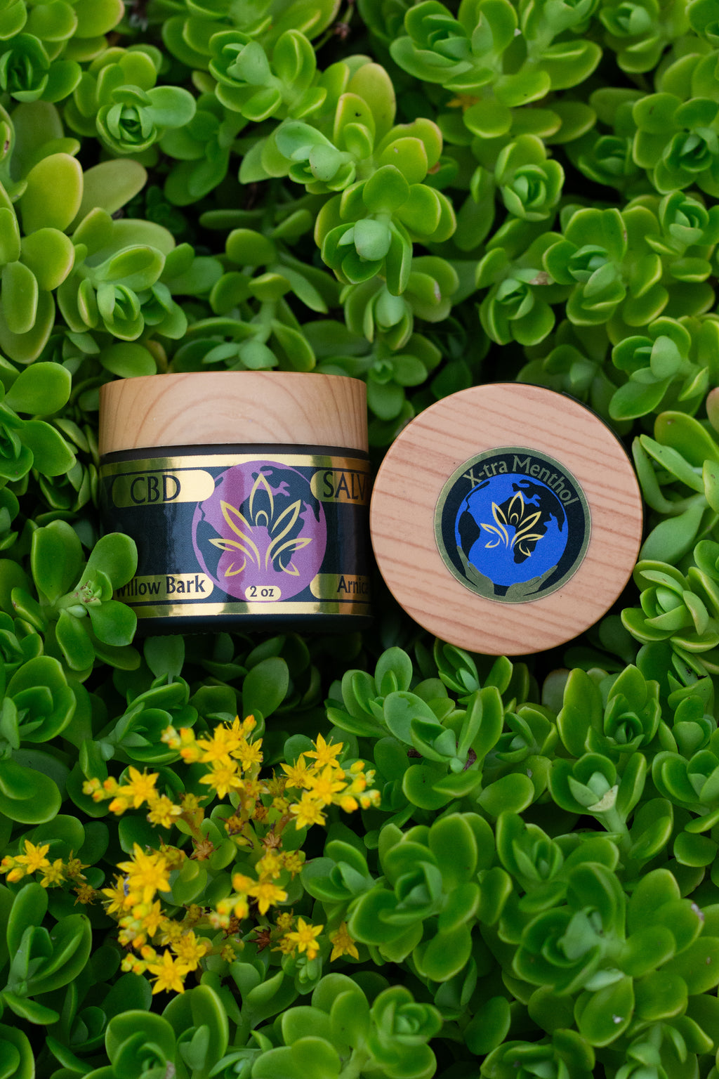 CBD Salve