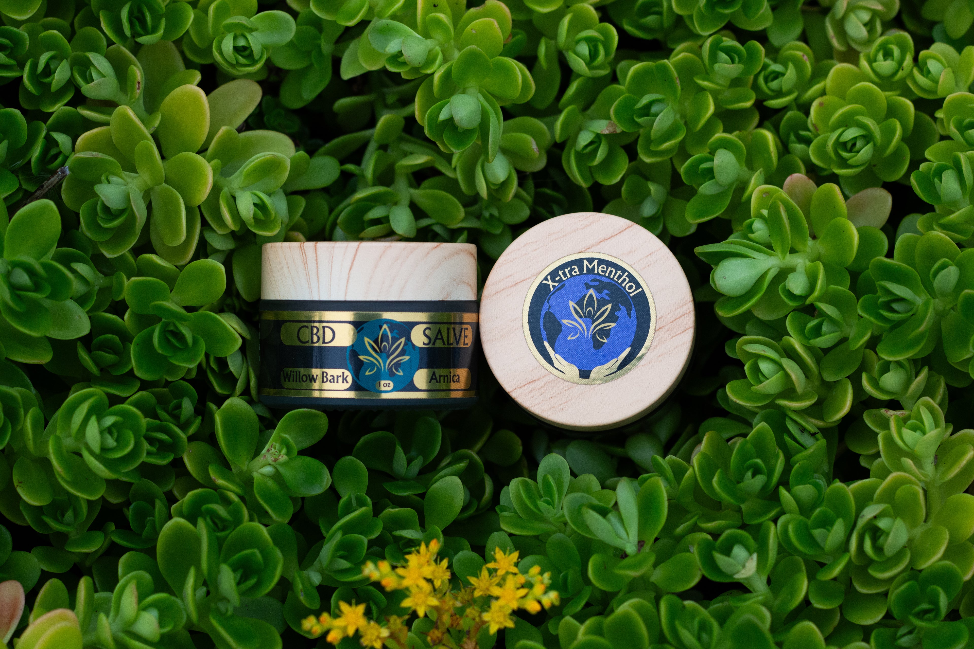 CBD Salve