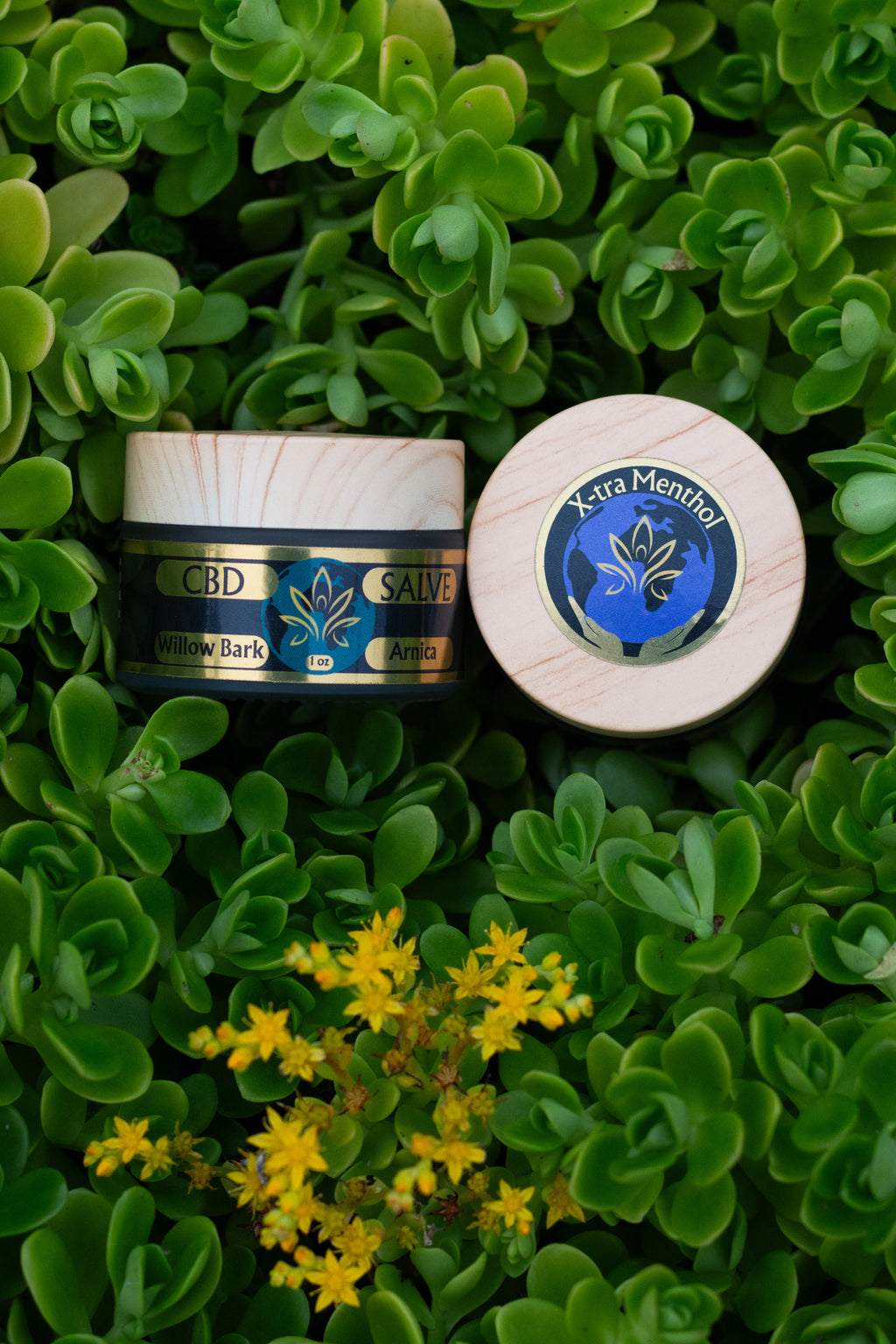 CBD Salve