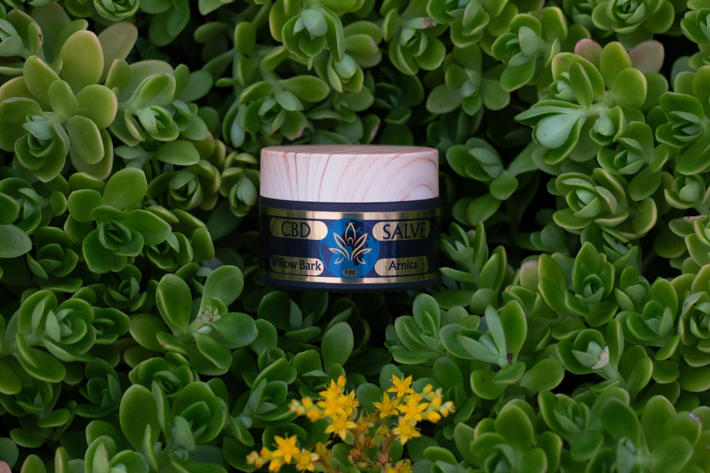 CBD Salve