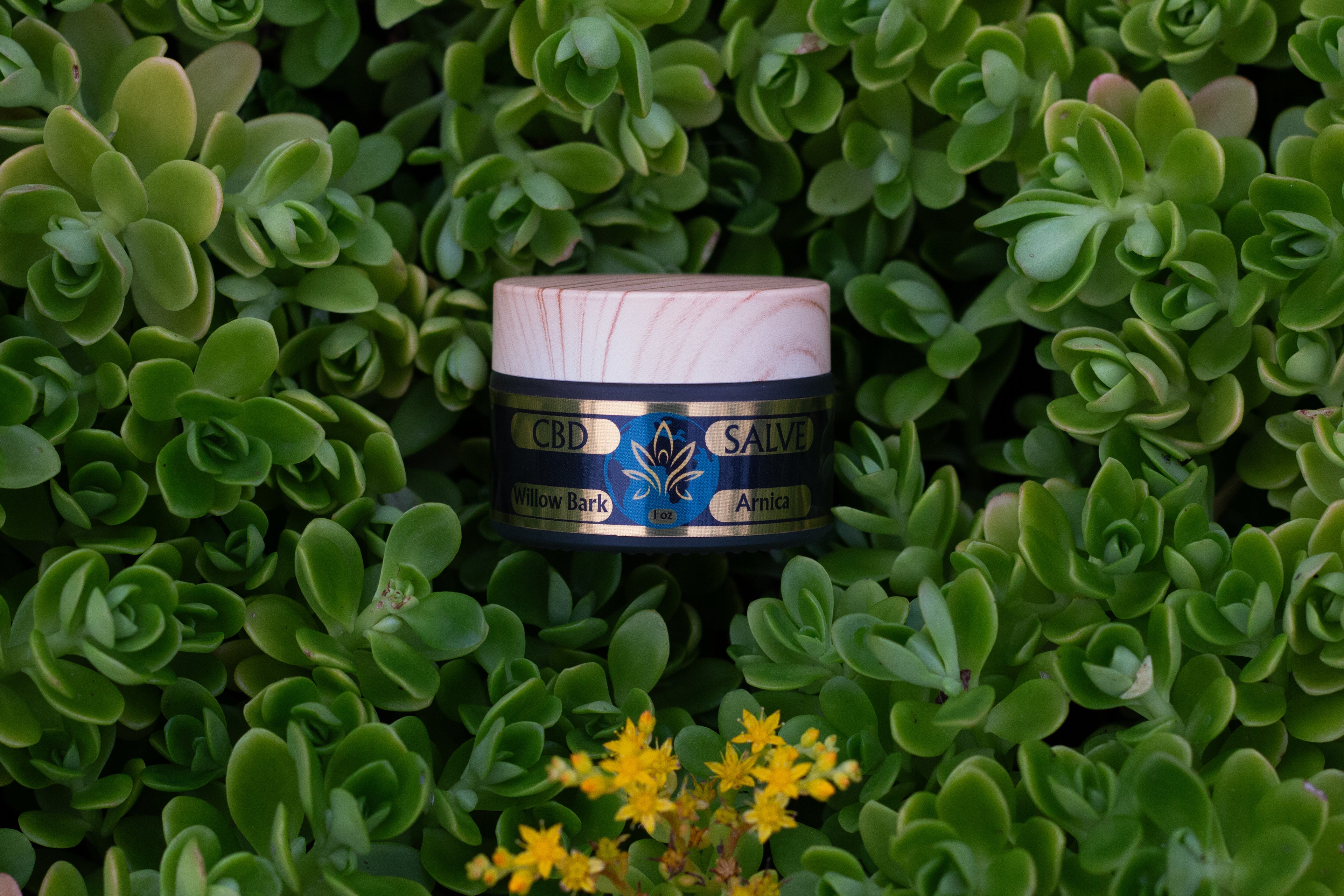 CBD Salve